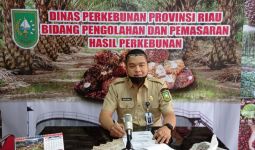 Naik Terus, Sebegini Harga TBS Sawit di Riau Hari Ini - JPNN.com