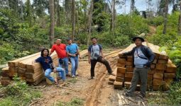 AKBP Nuswanto: Sudah Kami Tetapkan Satu Orang Tersangka Kasus Illegal Logging - JPNN.com