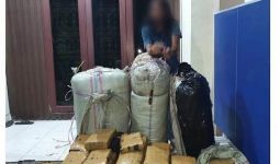 Ijal Nekat Bawa 200 Kg Ganja dari Aceh ke Pekanbaru - JPNN.com