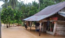 Banjir di Mukomuko, Puluhan Rumah Terendam - JPNN.com