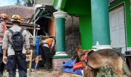 Anjing K-9 Ikut Mencari Korban Gempa Cianjur, 2 Jenazah Ditemukan - JPNN.com