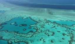 PBB Sebut Great Barrier dalam Bahaya, Australia Tidak Terima - JPNN.com