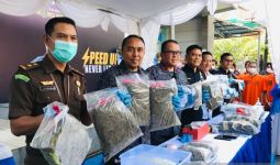 BNNP Bali Menggagalkan Penyelundupan Kokain Senilai Rp 1 Miliar - JPNN.com