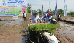 Perluas Agrosolution, Pupuk Kaltim Targetkan Perluasan Lahan di Seluruh Kecamatan Ponorogo - JPNN.com