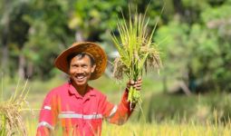 PT Vale Indonesia Gelontorkan Rp 40 Miliar untuk Mendukung Pertanian Organik - JPNN.com