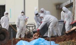 Kasus Flu Burung di Korsel Terus Bertambah, Ini Data Terbarunya - JPNN.com