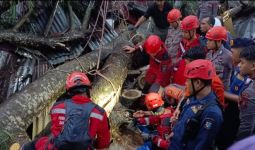 Tertimpa Pohon Tumbang, Dua Orang di Makassar Tewas - JPNN.com