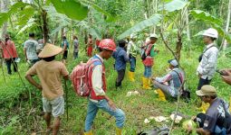 Desa Wadas Makin Kondusif, BBWS Bersama Warga Ukur Jarak Aman Penambangan - JPNN.com
