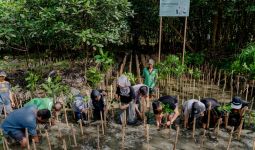 AdaKami dan Komunitas Mangrove Jakarta Gelar Aksi Tanam 500 Pohon - JPNN.com