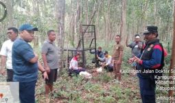 Harimau Muncul di Permukiman, Bupati Siak Minta Warga Meningkatkan Kewaspadaan - JPNN.com