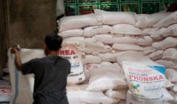 Kelangkaan Pupuk Bersubsidi di Bangkalan bukan Karena Stok Kurang, tetapi - JPNN.com