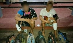 Pencuri Ayam Puluhan Juta Ditangkap, Lihat Tuh Barang Buktinya - JPNN.com