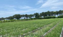 Serikat Petani Indonesia Sambut Baik Panen Raya Padi - JPNN.com