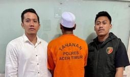 Harimau Sumatra yang Mati di Aceh Timur Ternyata Diracun, Pelakunya Tak Disangka - JPNN.com