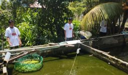 Orang Muda Ganjar Bawa Bantuan Untuk Peternak Ikan Air Tawar di Kaltim - JPNN.com