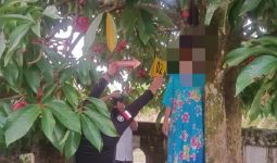 Seorang Guru di Kampar Tewas Gantung Diri di Pohon Jambu - JPNN.com
