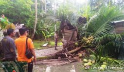 Angin Kencang, 1 Rumah Warga di Aceh Barat Tertimpa Pohon - JPNN.com