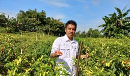 Petani Garut Siap Amankan Pasokan Cabai Selama Ramadan Hingga Idulfitri - JPNN.com