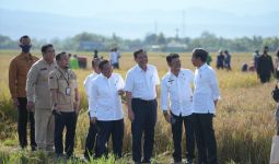 Sulsel Surplus Beras, Jokowi: Segera Distribusikan ke Wilayah Lain - JPNN.com