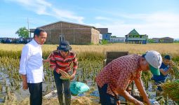 Jokowi Sebut Hasil Produksi Beras di Maros Baik Meski 2 Kali Dihantam Banjir - JPNN.com