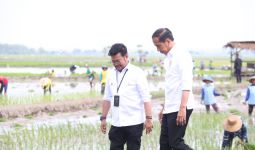 Presiden Jokowi didampingi Mentan Lakukan Percepatan Tanam Padi di Tuban, Lihat Tuh - JPNN.com