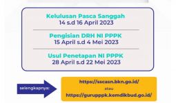 Lulus Pasca-sanggah PPPK Guru 2022 Dibatalkan karena 4 Hal, Pesan Penting Iswinarto BKN - JPNN.com