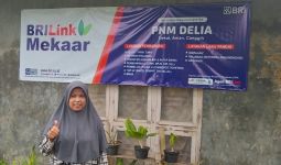Ketua Mekaar Jadi AgenBRILink, Roeti Mampu Memanfaat Pemberdayaan Holding UMi - JPNN.com