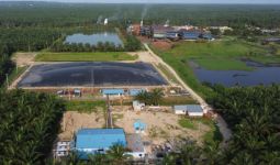 IPP Pembangkit Listrik Tenaga Biogas Pertama di Riau Resmi Beroperasi - JPNN.com