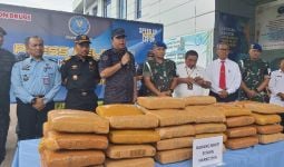 Tumpukan 52 Kilogram Ganja yang Dibawa Prajurit TNI, Edan! - JPNN.com