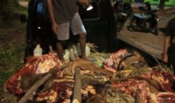 Jaringan Pencurian Sapi dengan Cara Mutilasi Beraksi di Kupang, Polisi Bergerak - JPNN.com