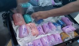 Bea Cukai Kualanamu dan BKIPM Gagalkan Penyelundupan Ikan Hias - JPNN.com