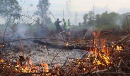 Dalam Sehari Ada 9 Hektare Lahan Terbakar di Palangka Raya - JPNN.com