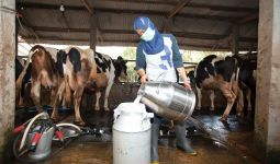 Konsumsi Susu Indonesia Masih Rendah Dibanding Negara Asia Tenggara Lainnya  - JPNN.com