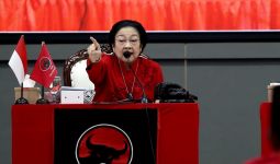 Megawati Minta Jumlah Pulau di Indonesia Diteliti Ulang, Ini Alasannya - JPNN.com