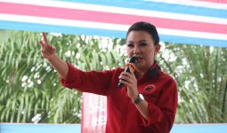 Karolin Minta Panglima TNI Tindak Pelaku Penusukan Warga Jelimpo Landak - JPNN.com
