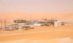 MLN Algeria, Lapangan Migas Pertama yang Dioperasikan Pertamina di Luar Negeri - JPNN.com