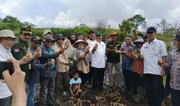 Jelang Iduladha, Kementan Pastikan Produksi Sayuran Asal Kabupaten Solok Aman - JPNN.com