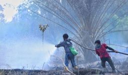 Cagar Biosfer di Riau yang Diakui UNESCO Sengaja Dibakar, BBKSDA Geram - JPNN.com