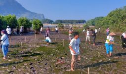 Nelayan Ganjar Gelar Aksi Menanam Mangrove Bersama Masyarakat di Pantai Pancer Puger - JPNN.com