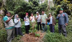 Kementan: Kolaka Siap jadi Kampung Durian Ramah Lingkungan - JPNN.com