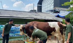 Ahmad Sahroni Center Bagikan 22,5 Ton Daging Kurban di Jakut dan Jakbar - JPNN.com