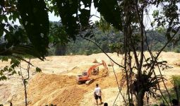 Innalillahi, Seorang Pekerja Tambang Emas Ilegal di Jambi Tewas Tertimbun Tanah - JPNN.com
