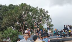 Unik! Penonton MXGP Lombok Rela Naik Buldozer dan Panjat Pohon Mangga - JPNN.com