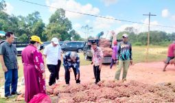 Dirjen Hortikultura Ungkap Faktor Utama Peningkatan Produksi Bawang Merah di Sumbawa - JPNN.com