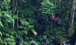 Tentara dan Polisi Menyisir Hutan Untuk Cari OTK yang Menyerang Warga di Halteng - JPNN.com