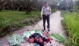 Arsyad Dibunuh Secara Sadis, Tubuhnya Ditemukan di Tengah Jalan Pertanian Kuansing - JPNN.com