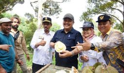 Lewat FGD, Kementan Rumuskan Strategi Pengembangan & Pemasaran Durian Unggul Nasional - JPNN.com