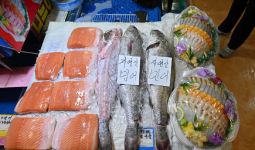 China Anggap Produk Seafood dari Jepang Berbahaya, Ini Sebabnya - JPNN.com