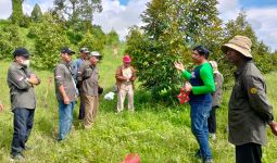 Ditjen Hortikultura Bersama IPB Bogor Ukur Kemampuan Durian Menyerap Stok Karbon - JPNN.com