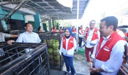 Cek Penyaluran LPG 3 Kg di Palembang, Dirut Pertamina Pastikan Tidak Terjadi Kelangkaan - JPNN.com